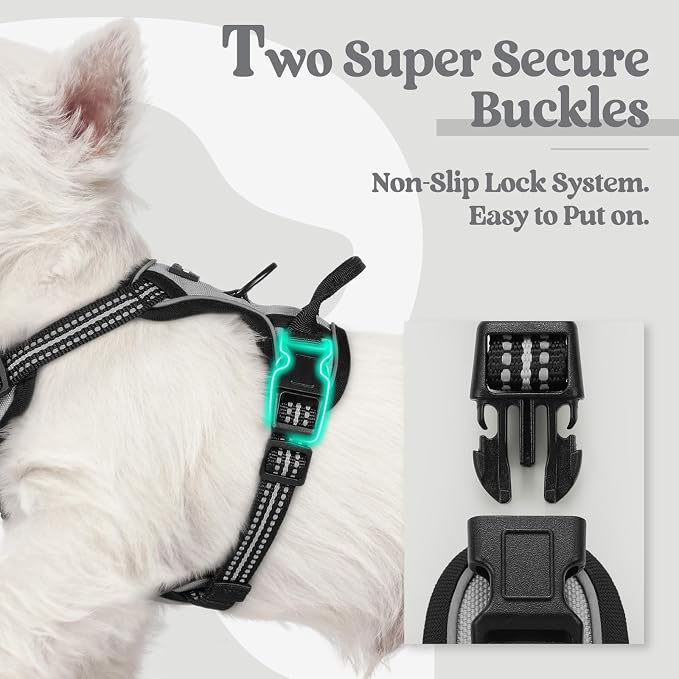 rabbitgoo Dog Harness No Pull with 2 Leash Clips, Adjustable Soft Padded, Reflective Oxford No Choke Pet Vest with Easy Control Handle for Puppy, Grey, XS | No Choke with Handle, Adjustable Soft Padded, Reflective, Easy Control for Walking, Gray, X-Small
