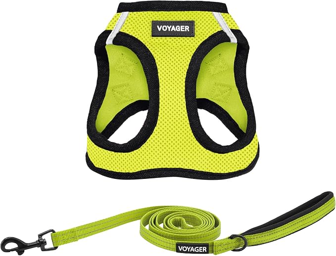 Voyager Step-in Air All Weather Mesh Harness and Reflective Dog 5 ft Leash Combo with Neoprene Handle, for Small, Medium and Large Breed Puppies by Best Pet Supplies - Green, Medium