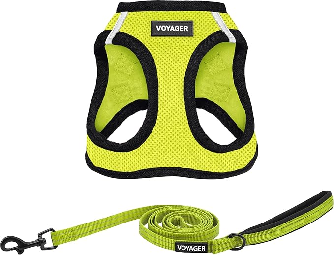Voyager Step-in Air All Weather Mesh Harness and Reflective Dog 5 ft Leash Combo with Neoprene Handle, for Small, Medium and Large Breed Puppies by Best Pet Supplies - Green, XX-Small