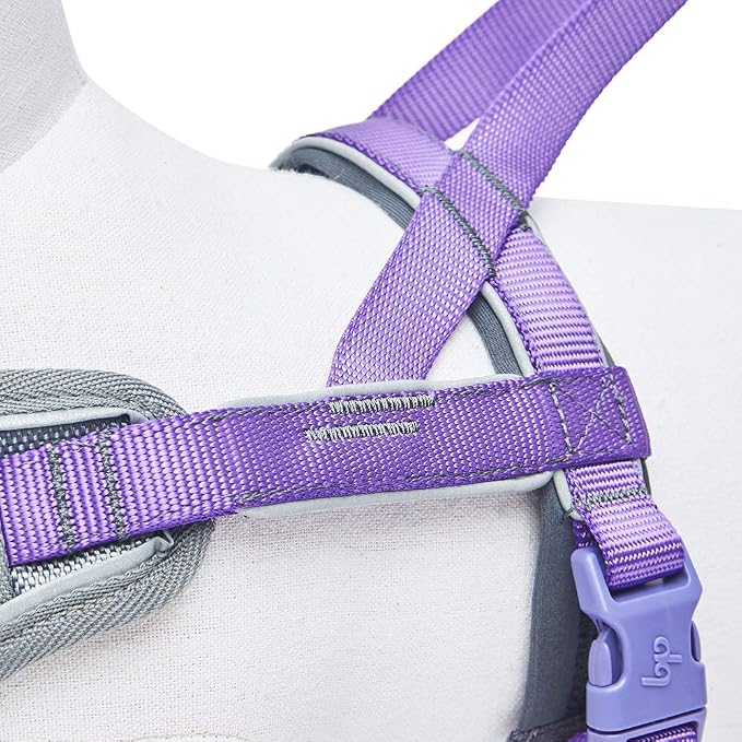 Blueberry Pet Purple Dog Harness, Medium Sized, Small Dog Harness, Puppy Harness, Reflective Nylon Vest, Adjustable for Small Dogs, Large Dog Owners, Pet Trainers, Active Pet Parents