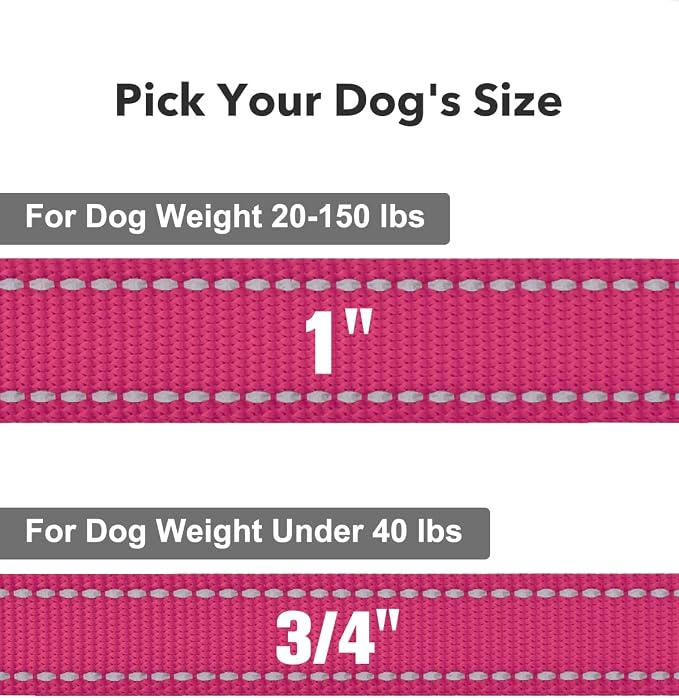 Taglory Reflective Dog Leash for Small Dogs, 3/4in x 6ft, Hot Pink | Ideal for Night Walking, Strong for Sudden Pulls, Lightweight & Gentle on the Neck, Soft Padded Handle