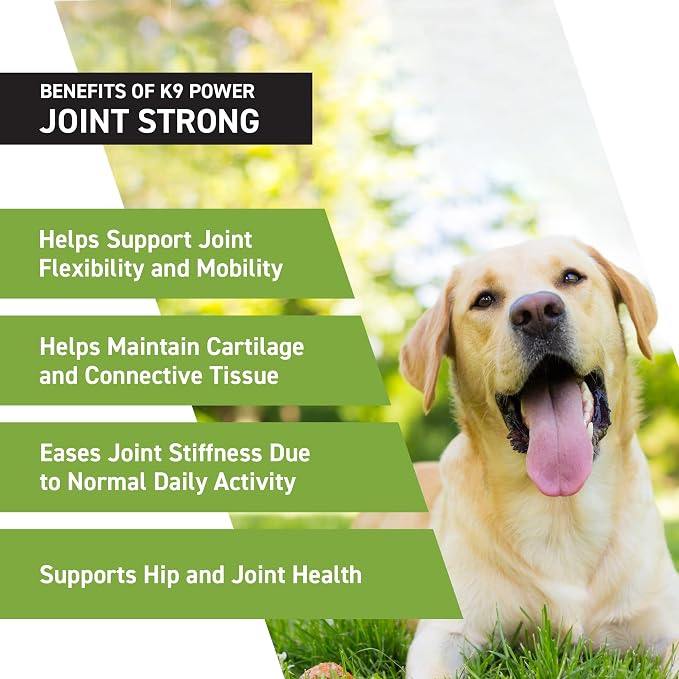 K9Power Joint Strong – Dog Joint Supplement for Mobility, Pain & Inflammation Relief – Glucosamine, Chondroitin, Collagen, Curcumin, Omega 3s, CMO, Green Tea – Ideal for Arthritis & Joint Protection