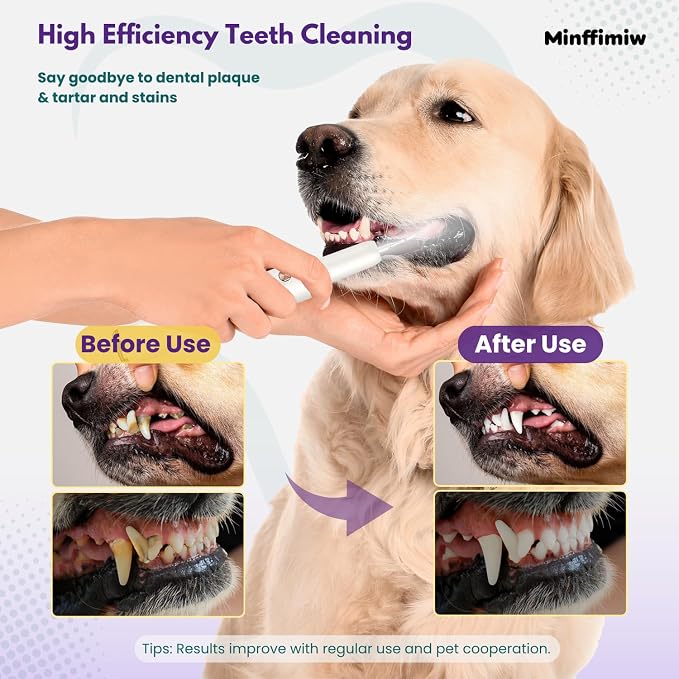 Dog Plaque Remover for Teeth - Electric Tartar Remover with LED Light, 5 Adjustable Modes, Dog Teeth Cleaning Kit, Safe Pet Tooth Cleaner, Dental Care Tool for Dogs