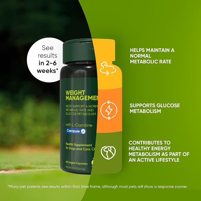 Healthy Weight & Energy Metabolism Supplement for Dogs & Cats