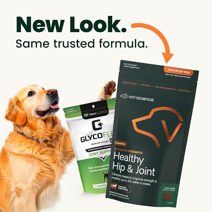 VetriScience Healthy Hip & Joint Chews, GlycoFlex Glucosamine and Green-Lipped Mussel Joint Support Supplement for Dogs, Promote Mobility and Protect Joints, Chicken, 120 Count
