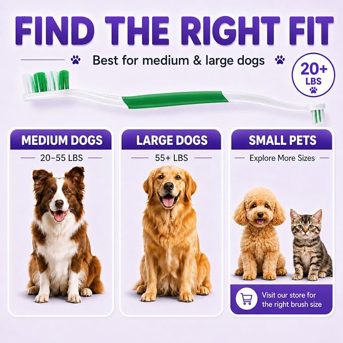 Dog Toothbrush, Dual-Head, for Medium-Large Dogs, Green | Soft Bristles for Gentle Cleaning ,60° Curved Bristles for Better Coverage ,Comfortable for Sensitive Gums