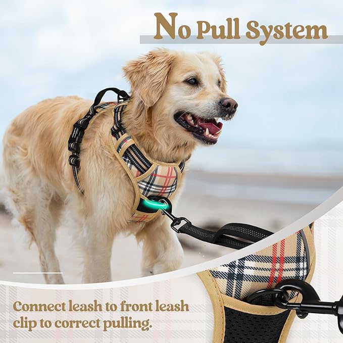 rabbitgoo Dog Harness, No Pull for Small Dogs with 2 Leash Clips, Pet Vest | No Choke with Handle, Adjustable Soft Padded, Reflective, Easy Control for Walking, Beige Plaid, Small