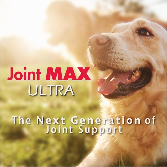 Ultra Advanced Hip & Joint Support for Dogs – All-in-One Soft Chews with Glucosamine, MSM, Omega-3s (EPA & DHA), Hyaluronic Acid & Boswellia – Maximum Strength Mobility & Comfort – 30 Chews