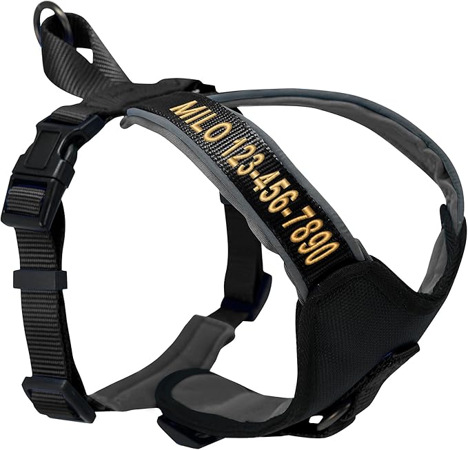 Pawtitas Reflective Padded Dog Harness for Medium Dogs – Adjustable Step-in Vest | Fits Chest 22–28 in | No Pull Personalized Training Harness | M | Black