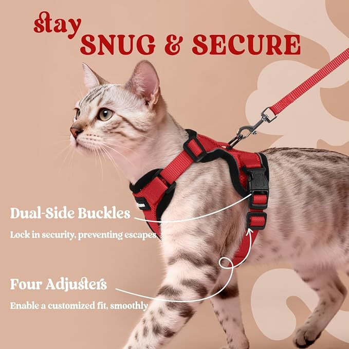rabbitgoo Cat Harness and Leash Set, Escape Proof Vest, Red | Soft Breathable Mesh, Easy Adjustable Fit, Snap Buckles, Sturdy Clip, Reflective Strips, for Average Cats Walks, S