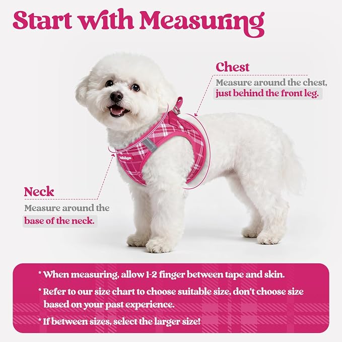 rabbitgoo Dog Harness Small Sized and Leash Set, Step-in Puppy Pet Vest | Light, Soft, Breathable Air Mesh, Easy on and Remove with Hook & Loop, Secure Reflective for Walking, Rose Red Plaid M
