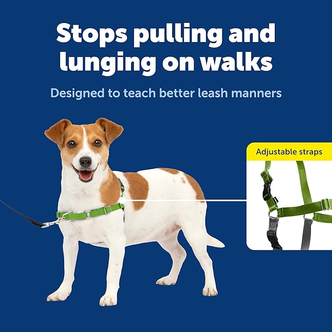 PetSafe Easy Walk Harness for Dogs - Pull-Free Walks - Patented Martingale Loop Design - Front Chest Leash Attachment - Comfort Straps - Breathable Harness Design - Small, Apple Green/Gray