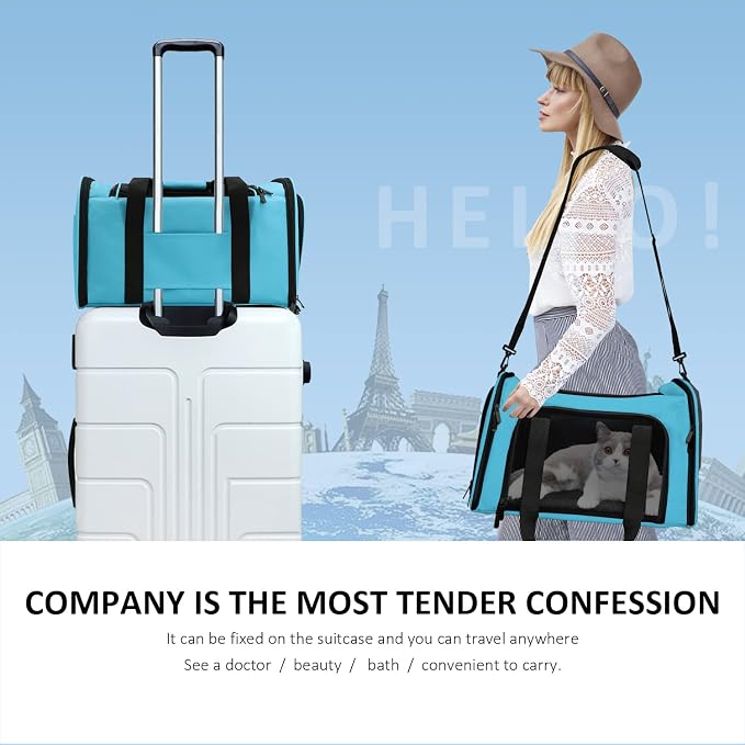 Henkelion Pet Carrier, Small/Medium Up to 15 lbs, Airline Approved, Blue