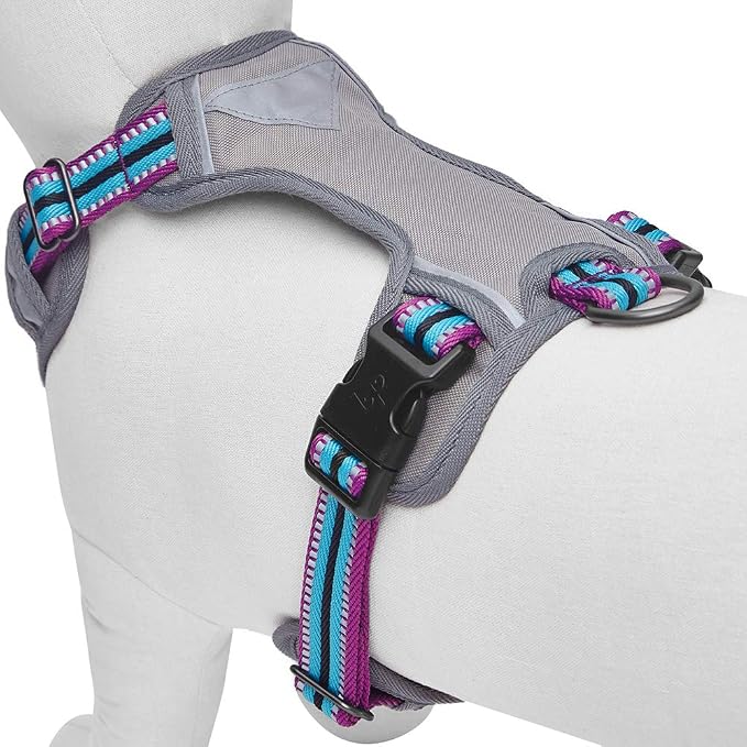 Blueberry Pet Dog Harness Soft & Comfy 3M Reflective Dog Harness Medium Sized Dog