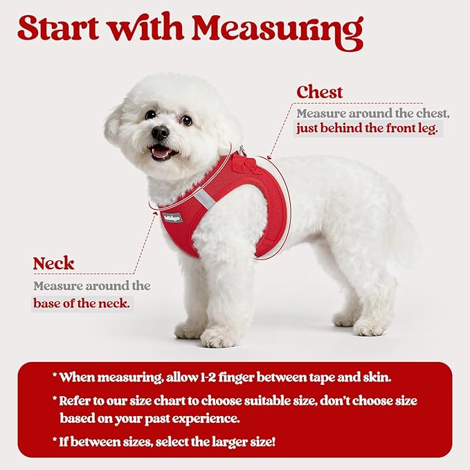 rabbitgoo Dog Harness Small Sized and Leash Set, Step-in Puppy Pet Vest | Light, Soft, Breathable Air Mesh, Easy on and Remove with Hook & Loop, Secure Reflective for Walking, Red XXS