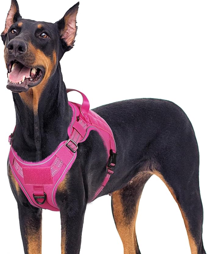 rabbitgoo Tactical Dog Harness for Large Dogs, No Pull Service Pet Vest | Military Molle System & Easy Control Handle, Adjustable and Reflective for Walking and Training, Rose Red, X-Large