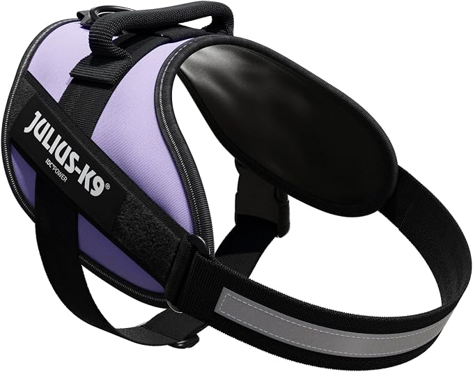 Julius-K9, 16IDC-PR-0, IDC Powerharness, Dog Harness, Size: 0, Purple