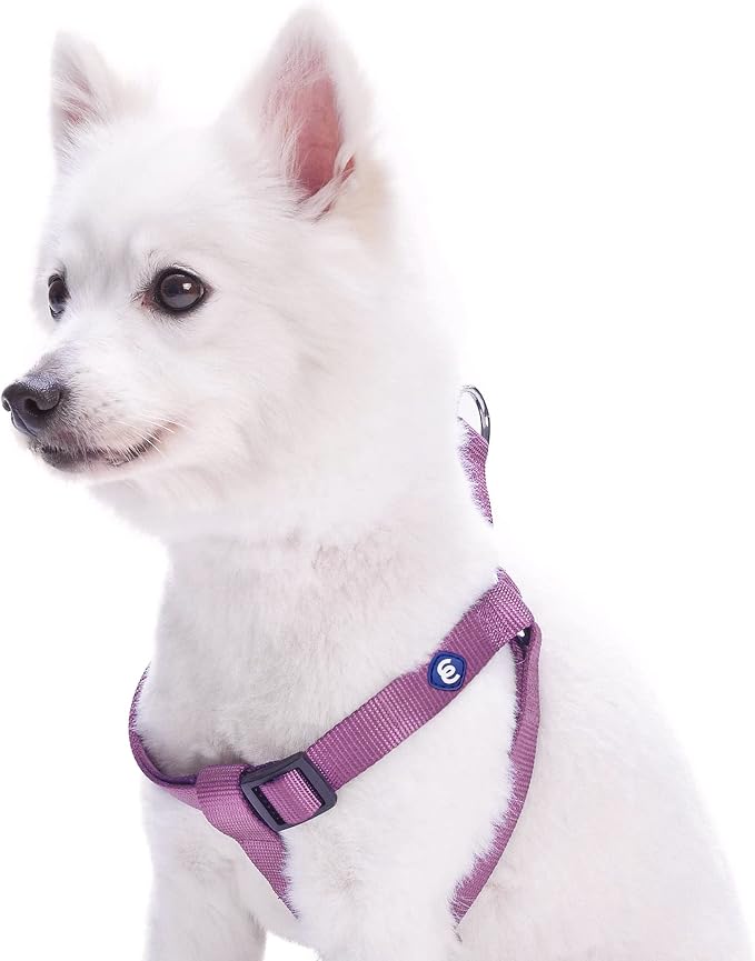 Blueberry Pet Essentials Step-in Dog Harness, Large Size | Adjustable Purple Vest | Classic Solid Nylon for Boy & Girl Dogs, Chest Girth 26"-39"