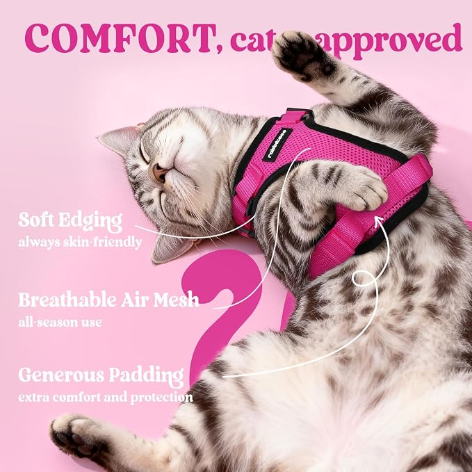 rabbitgoo Cat Harness and Leash Set, Escape Proof Vest, Rose Red | Soft Breathable Mesh, Easy Adjustable Fit, Snap Buckles, Sturdy Clip, Reflective Strips, for Kittens & Small Cats Walks, Xxs