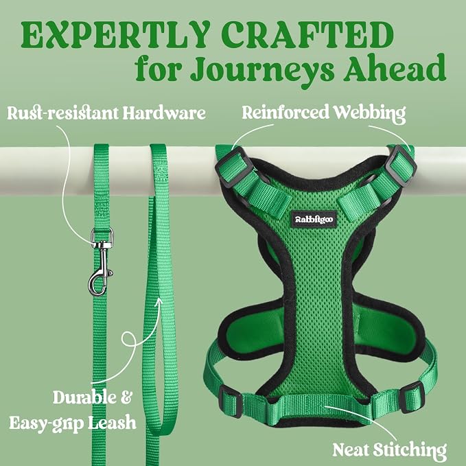 rabbitgoo Cat Harness and Leash Set, Escape Proof Vest, Grass Green | Soft Breathable Mesh, Easy Adjustable Fit, Snap Buckles, Sturdy Clip, Reflective Strips, for Small & Average Cats Walks, Xs