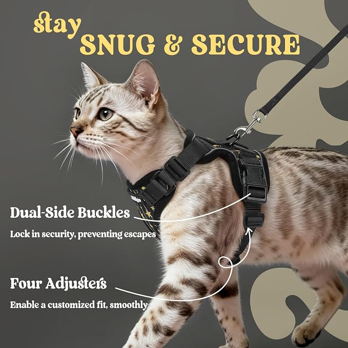 rabbitgoo Cat Harness and Leash Set, Escape Proof Vest, Lunar Prowl | Soft Breathable Mesh, Easy Adjustable Fit, Snap Buckles, Sturdy Clip, Reflective Strips, for Kittens & Small Cats Walks, Xxs