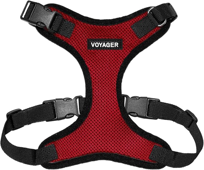 Voyager Step-in Lock Dog Harness - Red/Black Trim, X-Small | 13 - 16" in Chest, Adjustable, Breathable Air Mesh, Lightweight for Daily Walks, Strong Clips, Heavy Duty D-Ring
