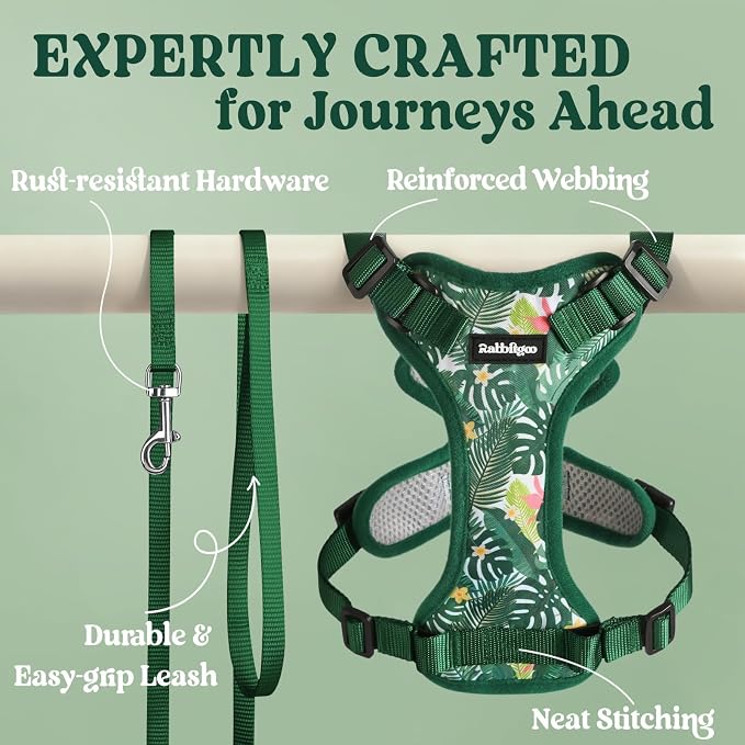 rabbitgoo Cat Harness and Leash Set, Escape Proof Vest, Rainforest Green | Soft Breathable Mesh, Easy Adjustable Fit, Snap Buckles, Sturdy Clip, Reflective Strips, for Small & Average Cats Walks, Xs