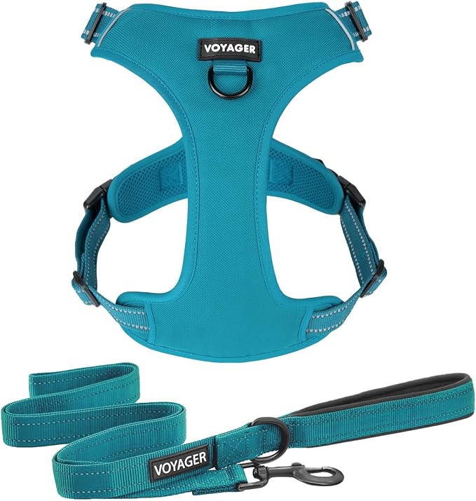 Voyager Dog Harness Dual Leash Attachment No-Pull Control Adjustable Soft but Strong Pet Harness for Medium and Large Dogs with 3M Reflective Technology, Leash Set Turquoise Nylon, XL (Chest: 28-37")