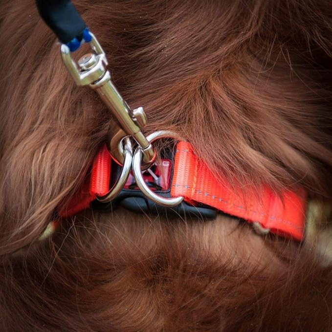 EzyDog Double Up Dog Collar, Strong Double D-Rings - Large, Red | Dual D-Rings for Superior Strength, Safety, and Comfort, Soft Touch Nylon Webbing, Reflective Stitching, Id Attachement Point
