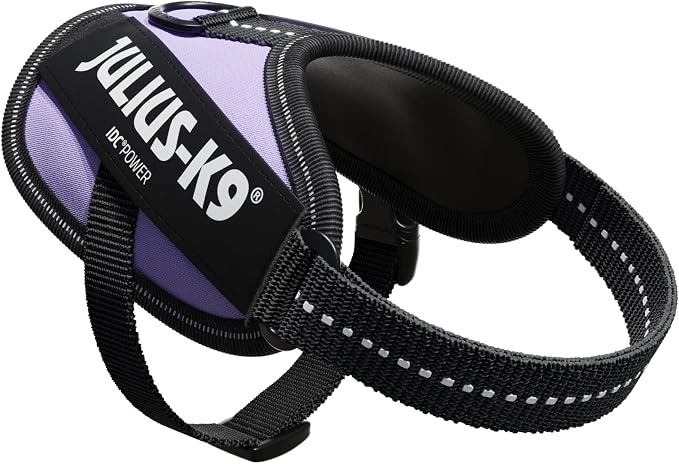 Julius-K9, 16IDC-PR-B2, IDC Powerharness, Dog Harness, Size: Baby 2, Purple