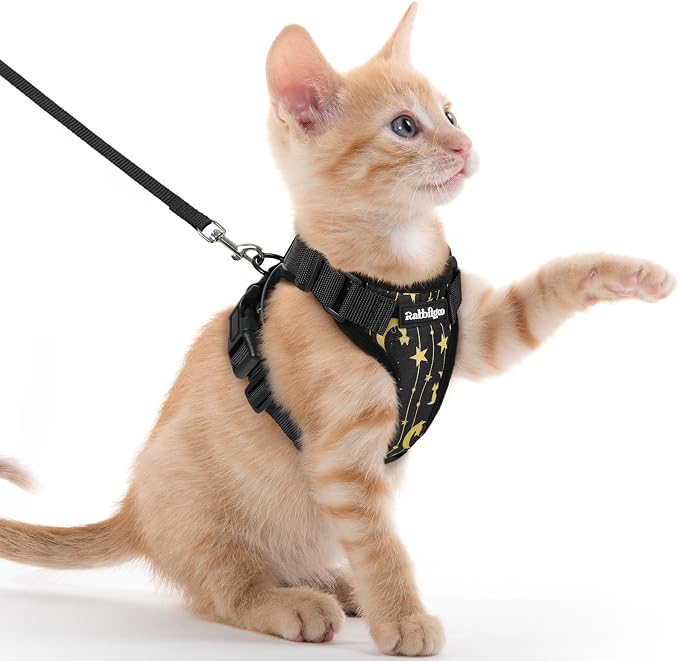 rabbitgoo Cat Harness and Leash Set, Escape Proof Vest, Lunar Prowl | Soft Breathable Mesh, Easy Adjustable Fit, Snap Buckles, Sturdy Clip, Reflective Strips, for Kittens & Small Cats Walks, Xxs