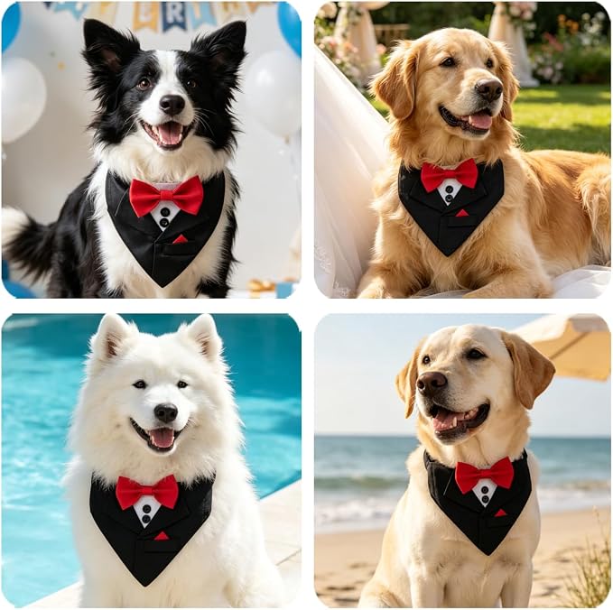 Popular Pet Party Suit Tuxedo Collar, Small, Black