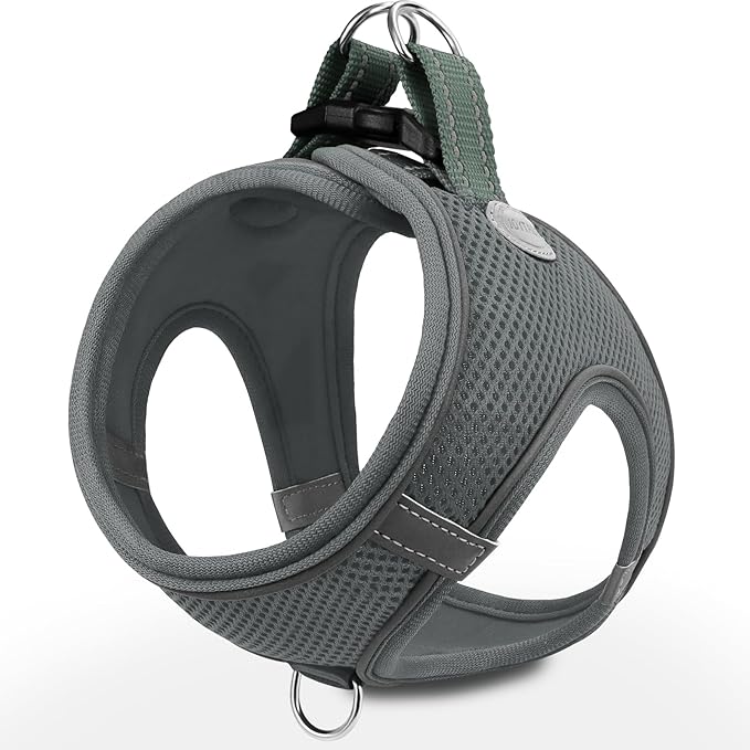 Joytale Step-in Dog Harness, Soft Breathable Mesh, Gray XXS | Adjustable Fit for Small Dogs, Easy Step-in with Secure Fastener, Even Chest Pressure, Reflective For Night Safety, Washable