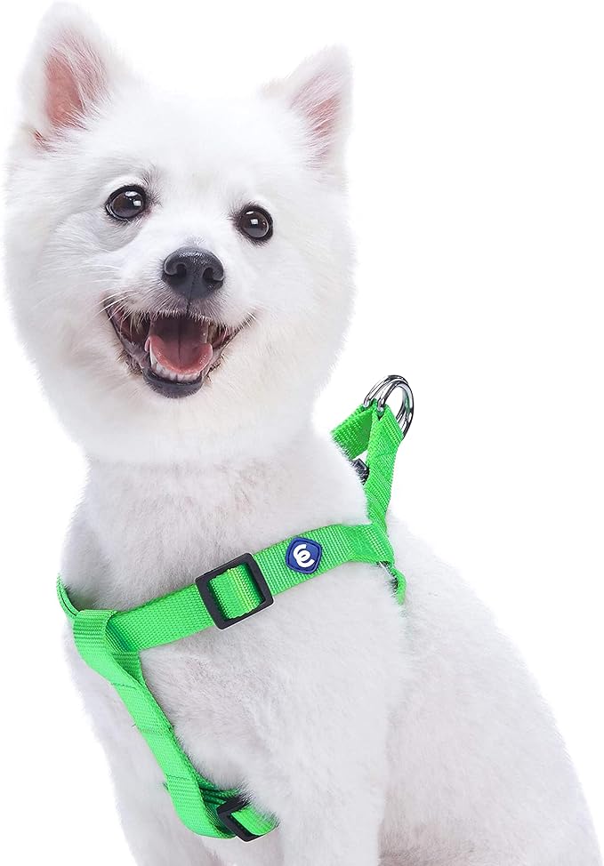 Blueberry Pet Essentials Step-in Dog Harness, Large Size | Adjustable Neon Green Vest | Classic Solid Nylon for Boy & Girl Dogs, Chest Girth 26"-39"