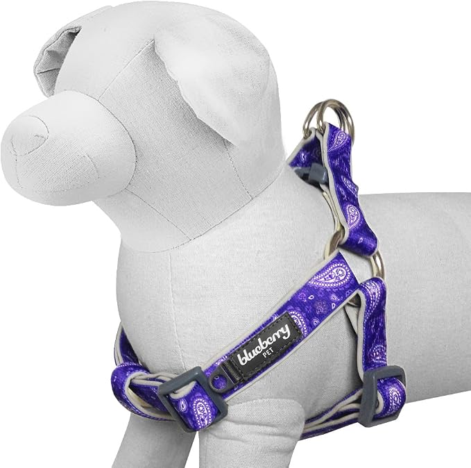 Blueberry Pet 5 Colors Soft & Comfy Step-in Paisley Flower Print Dog Harness, Chest Girth 19.5" - 25.5", Violet, S/M, Adjustable Harnesses for Dogs