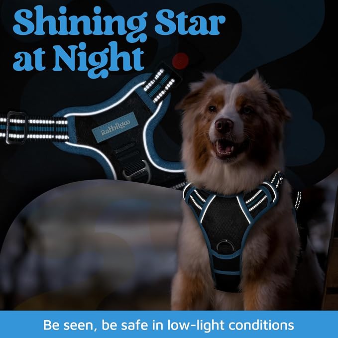 rabbitgoo Dog Harness for Large, No Pull 3 Buckles Easy On & Off | Soft Padded, Walking with Control Handle, Adjustable and Reflective, Black & Blue, Large
