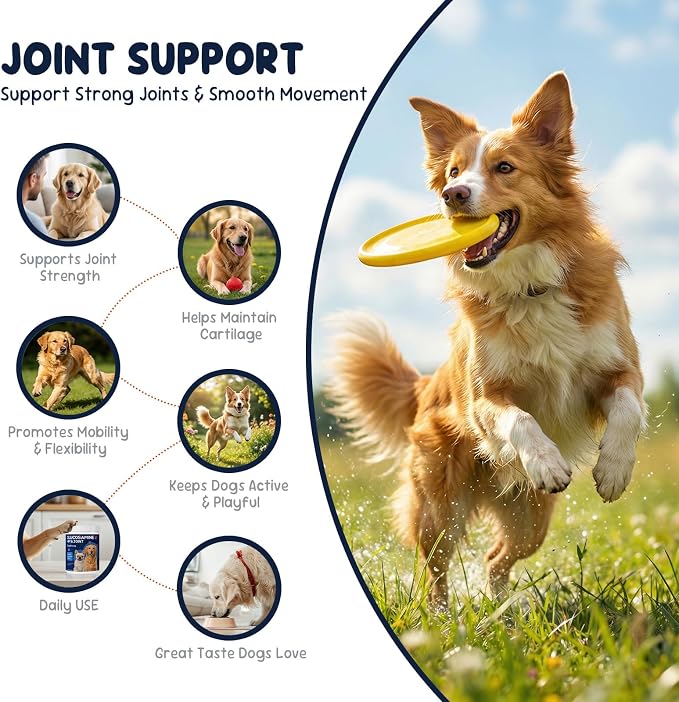 Dog Joint Support Supplement – Glucosamine, Chondroitin & MSM for Hip & Joint Function Support, Flexibility, and Daily Activity – 200 Soft Chews