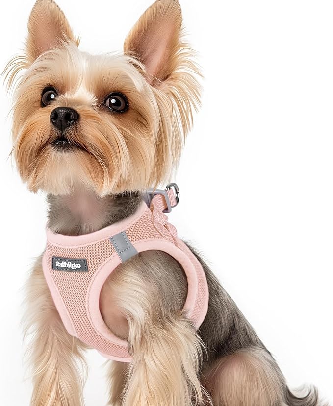 rabbitgoo Step-in Small Dog Harness, Puppy Vest for Small Sized Pet | Easy Put on and off, Lightweight, Soft, Breathable Quick-Dry Air Mesh for Comfortable Secure Walking, Pink XS