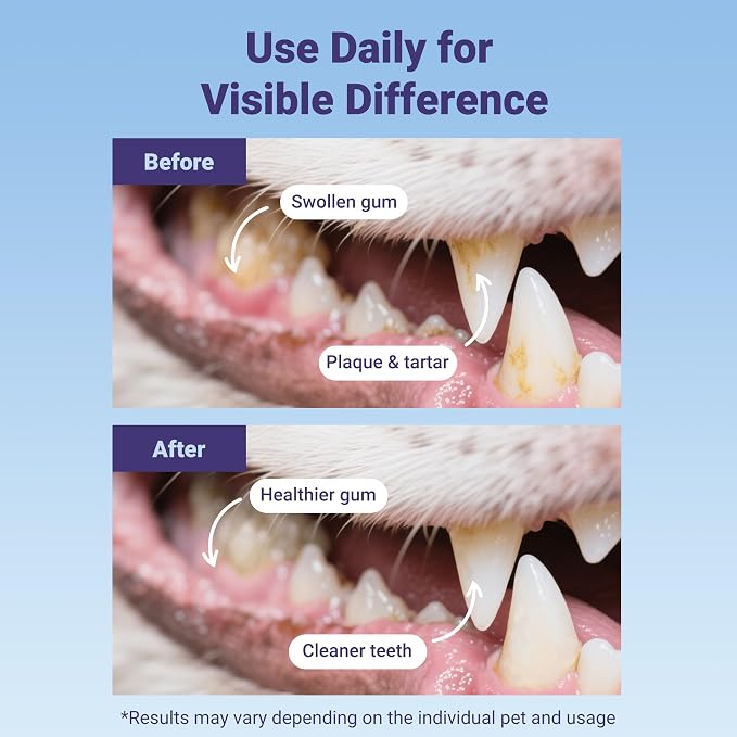 Dog Toothbrushes for Medium and Large Dogs&Cats, 2pcs, Ultra Soft Bristle, Long Durable Handle, Pet Tooth Brush and Dental Care Kit, Super Thin Bristle Gentle on Gum for Sensitive Pets, Red Violet