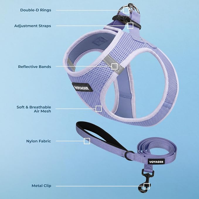 Best Pet Supplies Voyager Step-in Air All Weather Mesh Harness and Reflective Dog 5ft Leash Combo with Neoprene Handle, for Small, Medium and Large Breed Puppies - Lavender, S
