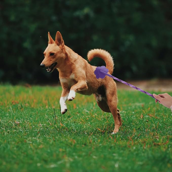 Dog Training Paw Shape Stick Tool, 2 Pack