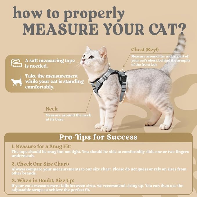rabbitgoo Cat Harness and Leash Set, Escape Proof Vest, Grey | Soft Breathable Mesh, Easy Adjustable Fit, Snap Buckles, Sturdy Clip, Reflective Strips, for Kittens & Small Cats Walks, Xxs