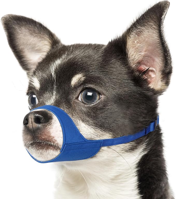 Fabric Short Snout Dog Muzzle for Small Dogs Anti Fierce Biting | Fits Chihuahua Shih Tzu Pomeranian Yorkshire Brachycephalic Dogs, Grooming Vet Visits Use, Allow to Drink, Soft | Blue, XXS