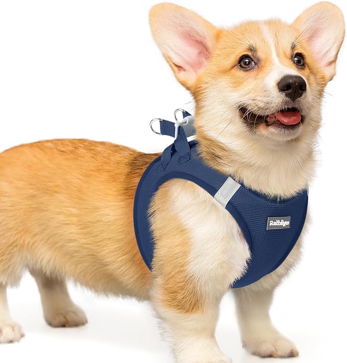 rabbitgoo Step-in Small Dog Harness, Puppy Vest for Small Medium Sized Pet | Easy Put on and off, Lightweight, Soft, Breathable Quick-Dry Air Mesh for Comfortable Secure Walking, Navy Blue L