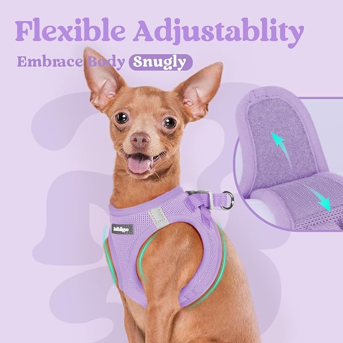 rabbitgoo Step-in Small Dog Harness, Puppy Vest for Small Sized Pet | Easy Put on and off, Lightweight, Soft, Breathable Quick-Dry Air Mesh for Comfortable Secure Walking, Light Purple XXS