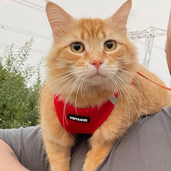 Voyager Step-in Pet Harness - All Weather Mesh, Adjustable Step in Harness for Cats and Dogs by Best Pet Supplies - 307S Red, XS