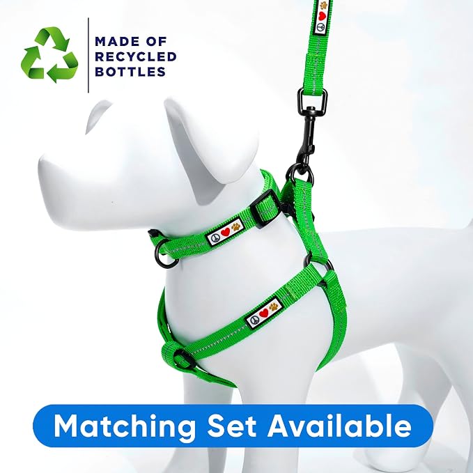 Pawtitas Recycled Reflective Step-in Dog Harness – Adjustable No-Pull Vest for Puppies to Seniors, Safe & Comfortable XS Green