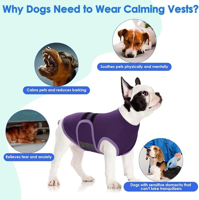 MIGOHI Dog Anxiety Relief Coat,Comfort Anxiety Vest for Dogs,Adjustable Dog Anxiety Calming Wrap for Fireworks,Travel, Separation,Anxiety Jacket for Small Dogs, XS,Purple