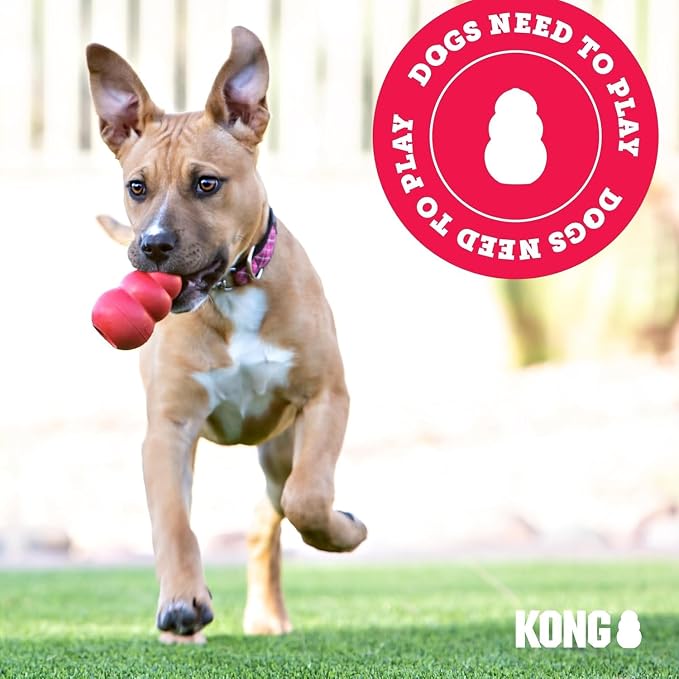 KONG Classic Toy and Enhanced Ziggies Treats Combo, for Small Dogs | Durable Stuffable Classic Toy Paired with Enhanced Ziggies Treats for Fun, Enrichment & Dental Health
