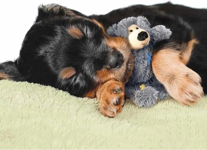 Kong Wild Knots Bears Durable Dog Toys Size:Small/Med Pack of 2 Small Breeds